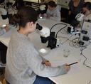 Foto aus dem Workshop Mikroplastik in der Umwelt beim Girls' Day 2025 an der Uni Bayreuth