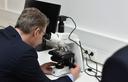 Markus Blume schaut in ein Mikroskop