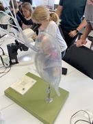 Maus-Türöffner-Tag