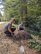 Melvin Opolka und Lukas Schaller neben einem Ameisenhügel am Waldrand