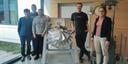 von links nach rechts: Quang Anh Pham , Lucas Pelchen, Viktor Stetinger, Stephan Kuntze, Prof. Dr. Silvia Ulrich