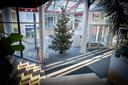 Leerer Campus zur Weihnachtszeit