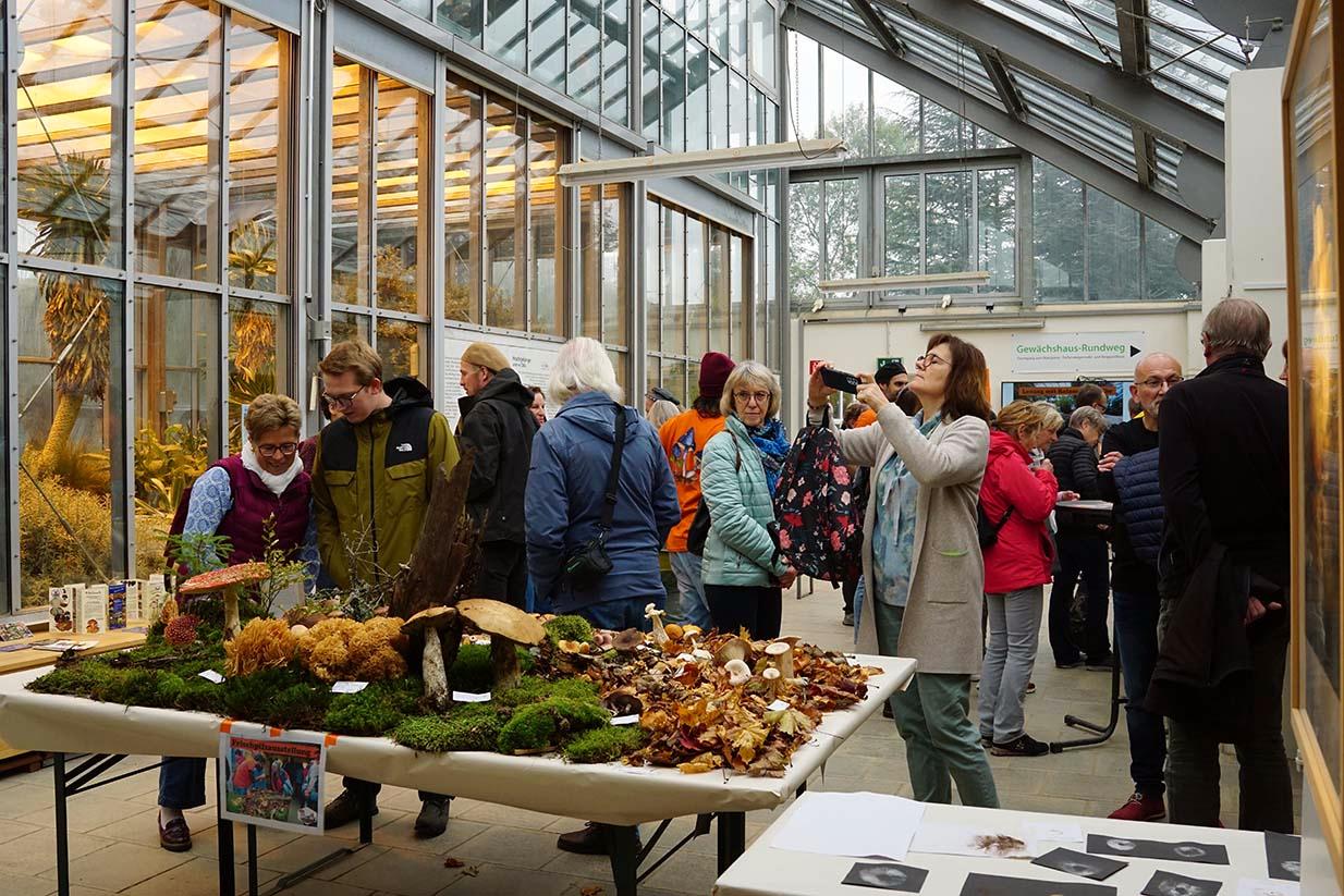 Foto von der Frischpilzausstellung der BayPilz 2025